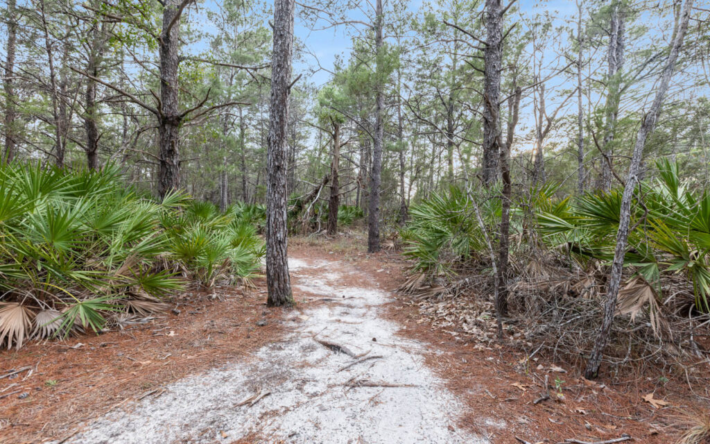 A path to ride along on 30A bike rentals.