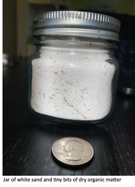 A picture of 30A white sand in a jar.