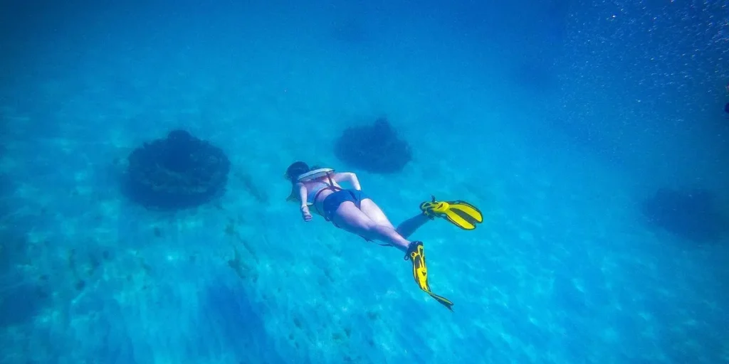 A snorkeler exlores a few of 30A's artificial reefs.