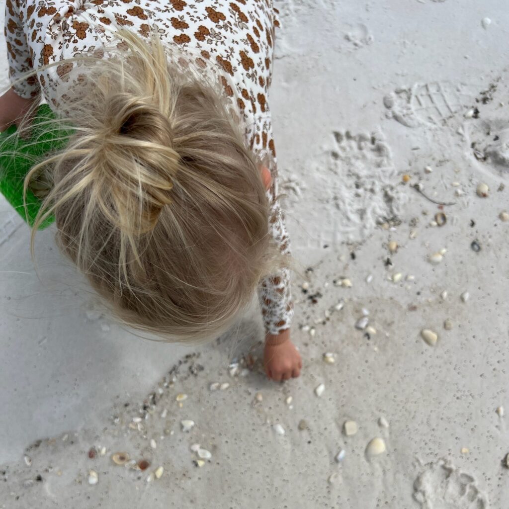 shell hunting