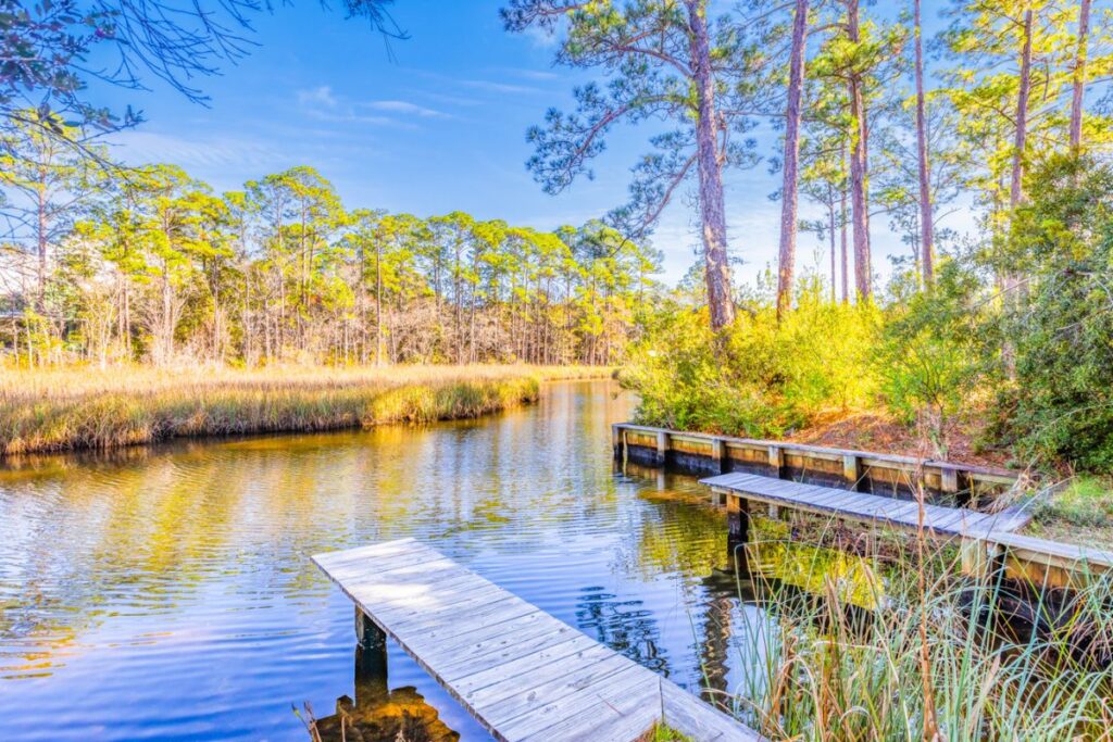 BEST PICNIC SPOTS IN SANTA ROSA BEACH