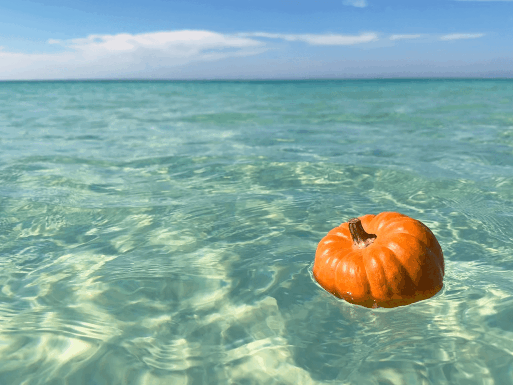 2025 HALLOWEEN ON 30A: EVENTS, FAMILY FUN, & COASTAL CHARM