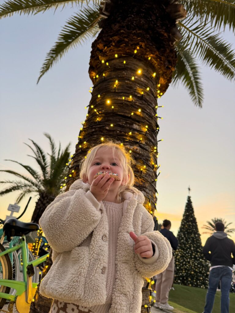 A ROSEMARY BEACH CHRISTMAS: COASTAL HOLIDAY MAGIC